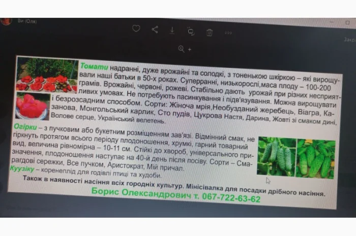 Насіння овочей: кукуруза, помидоры, перцы и баклажаны- фото № 1