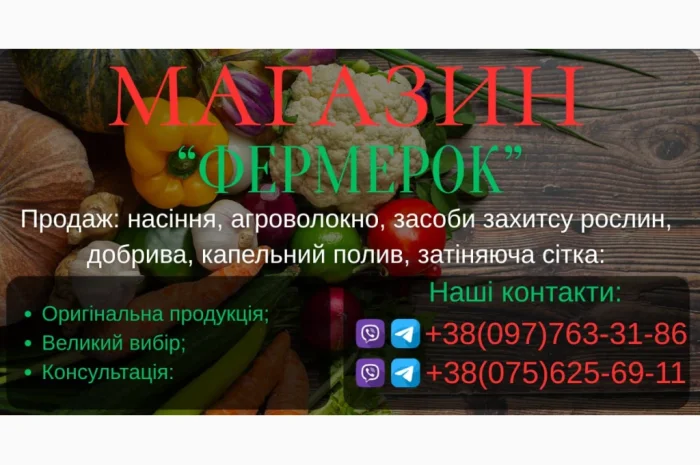 Продам насіння овочів- фото № 1