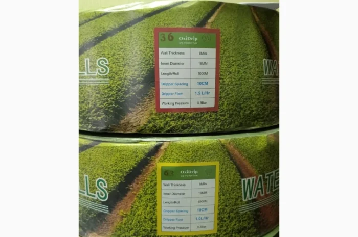 Продам насіння овочів- фото № 12