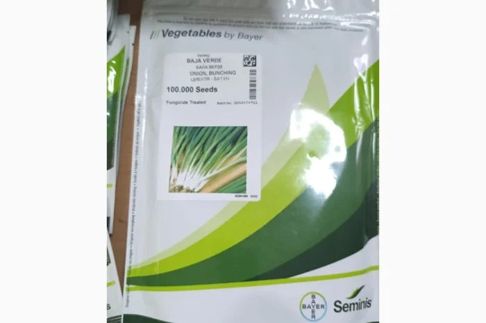 Продам насіння овочів- фото № 20