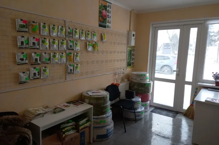 Продам насіння овочів- фото № 3