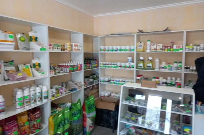 Продам насіння овочів- фото № 4