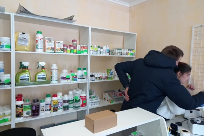 Продам насіння овочів- фото № 5