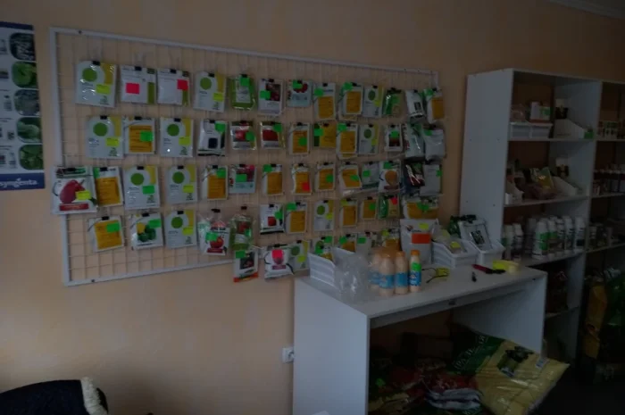 Продам насіння овочів- фото № 6