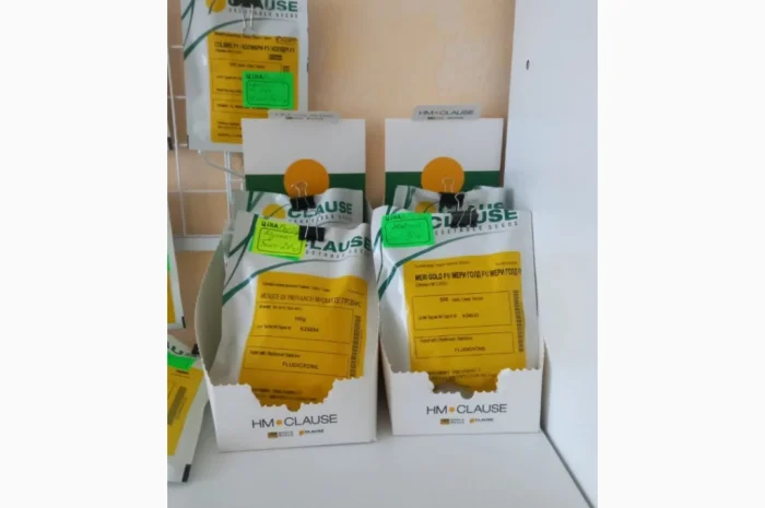 Продам насіння овочів- фото № 7