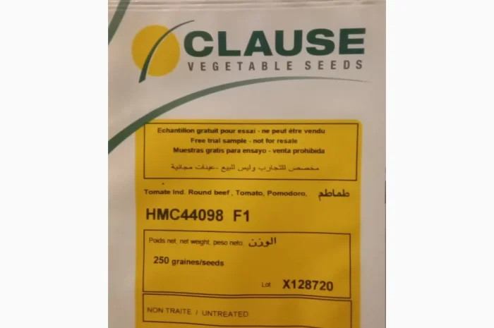 Продам насіння овочів- фото № 8