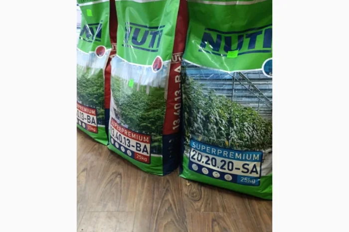 Продам насіння овочів- фото № 9