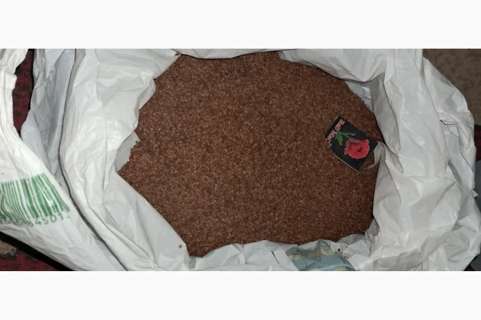 Продам насіння вільхи чорної- фото № 1