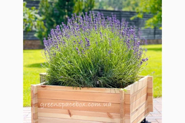 Садовий ящик-конструктор (кашпо) для рослин- фото № 4