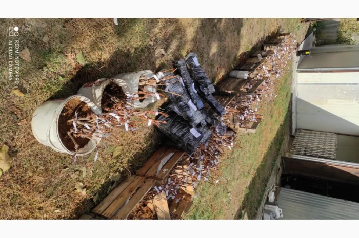 Продаются саженцы винограда- фото № 1