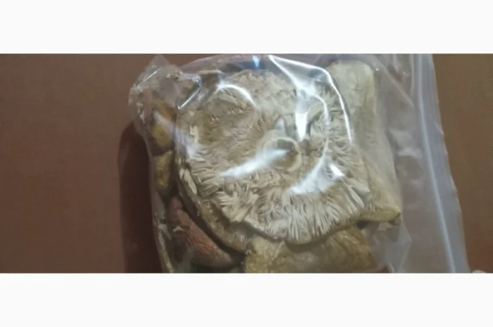 Мухоморы красные сухие- фото № 1