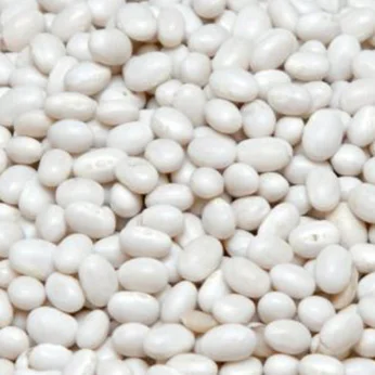 Насіння білої і кольорової квасолі- фото № 1