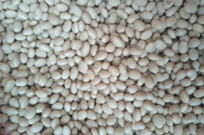 Квасоля Фасоль неві бінс- фото № 1