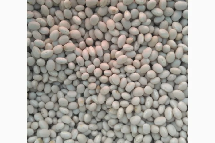 Квасоля Фасоль неві бінс- фото № 3