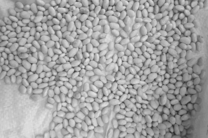 Квасоля Фасоль неві бінс- фото № 4