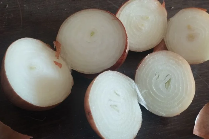 Лук репчатый жёлтый- фото № 1