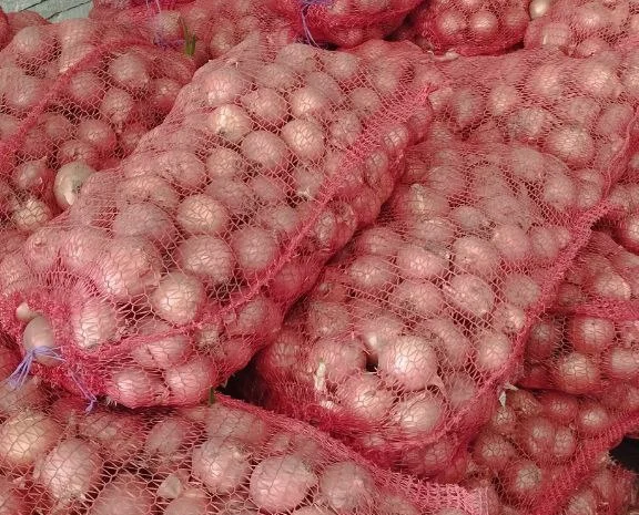 Лук репчатый жёлтый- фото № 3