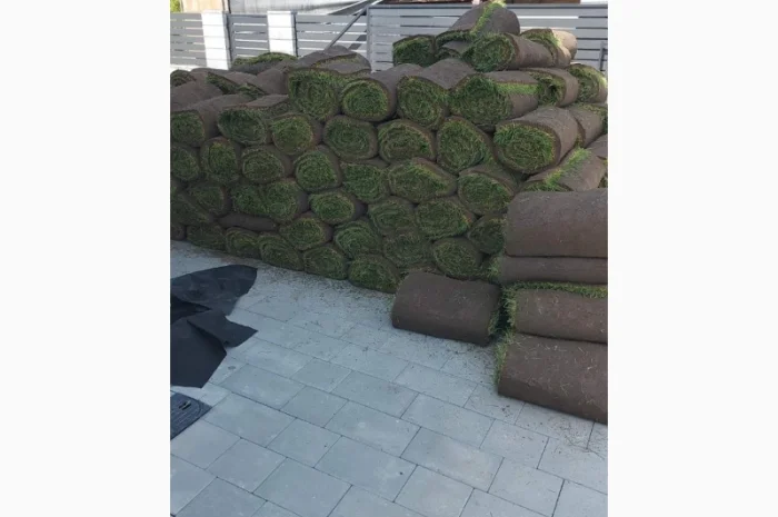 Рулонный газон Премиум 50% Мятлик луговой- фото № 1