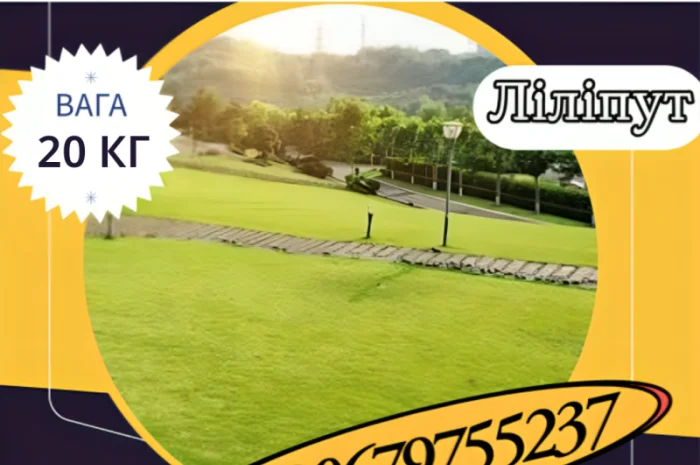 Насіння Газонної трави ліліпут (20 кг). Газонна трава- фото № 1