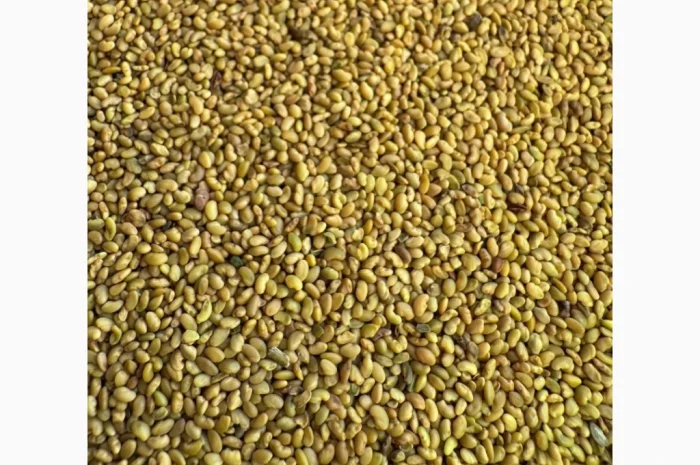 Продам насіння люцерни немагнічена та магнічена. Є об"єми- фото № 1