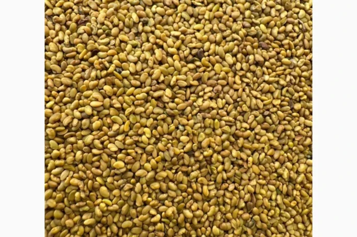 Продам насіння люцерни немагнічена та магнічена. Є об"єми- фото № 2