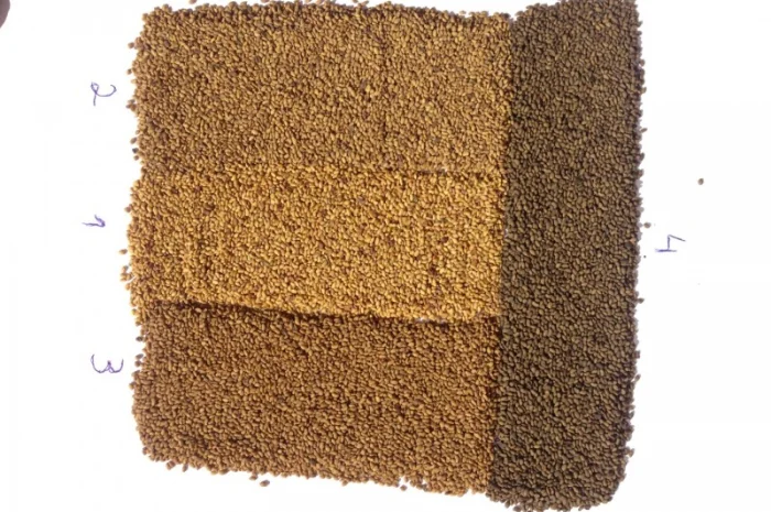 Господарство виробник реалізує НАСІННЯ ЛЮЦЕРНИ посівної- фото № 4