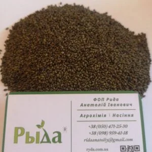 Купую насіння фацелії в різних формах- фото № 1