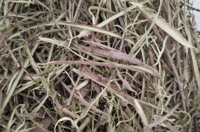 Продам кору бузини- фото № 1