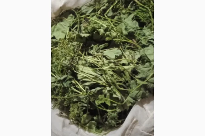 Куплю манжетку- фото № 1