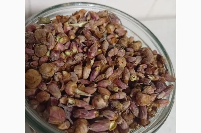 Продам бруньки смородини- фото № 2