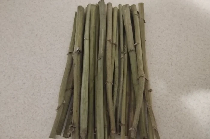 Продам гілочки для гризунів- фото № 2