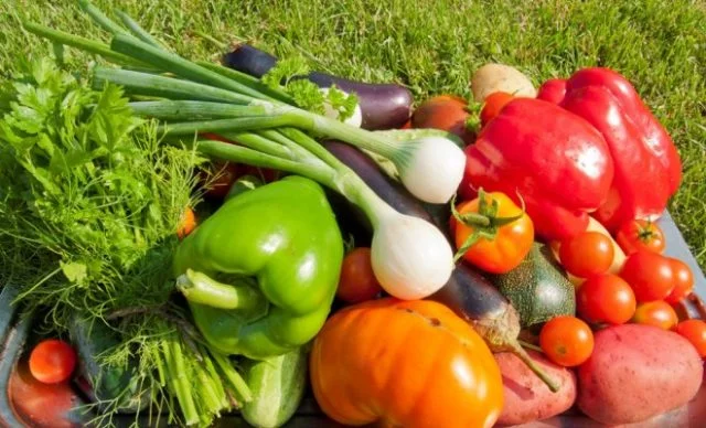 Кинетин 98% - регулятор роста растений- фото № 1