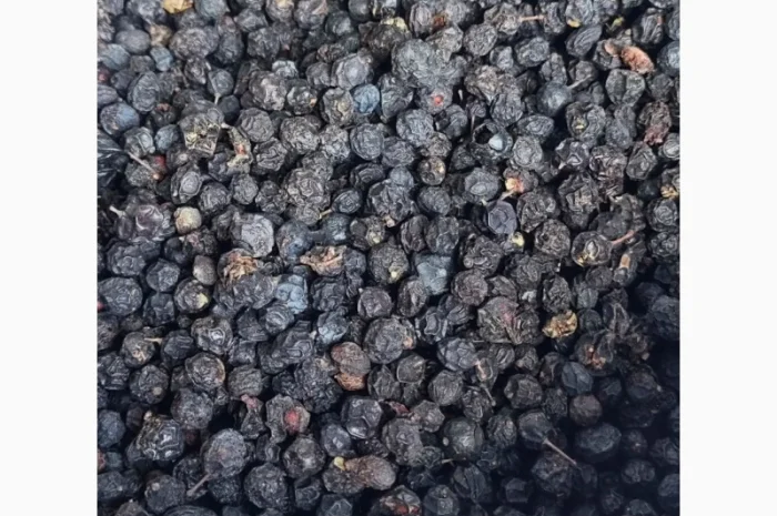 Продамо оптову партію ягід глоду (бояришник)- фото № 2