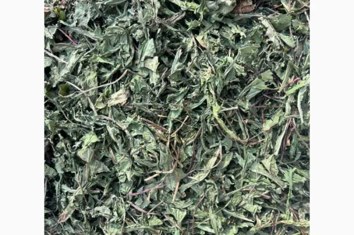 Куплю сухе листя кульбаби- фото № 1