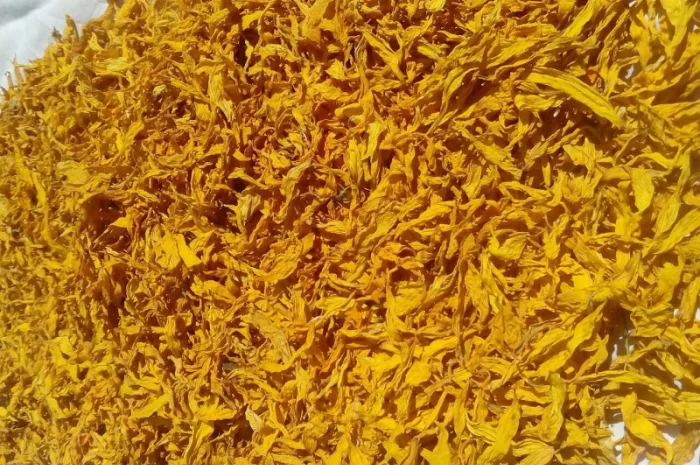 Куплю пелюстку соняшника- фото № 1