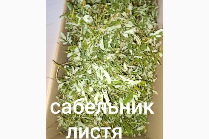 Сабельник листя- фото № 1