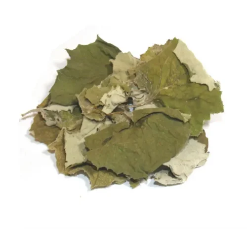 Мати й мачуха листя сушене- фото № 1