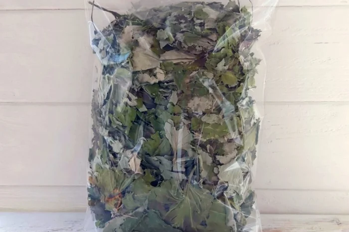 Мати й мачуха листя сушене- фото № 2