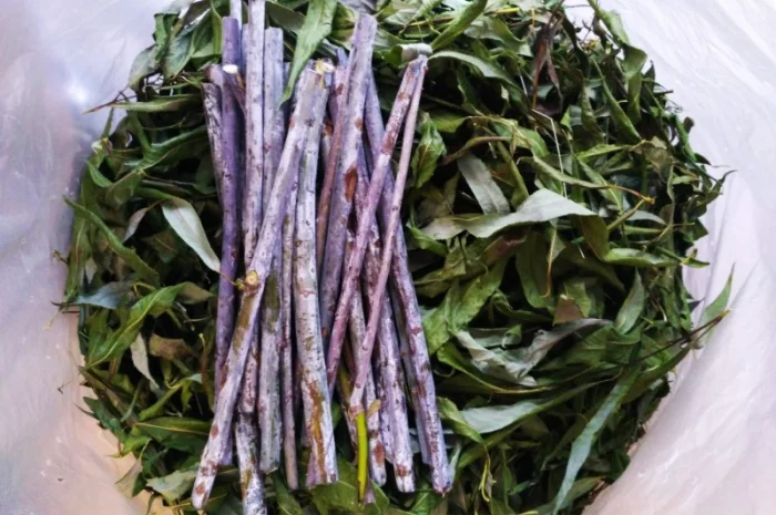 Закупаемо сушені лікарські трави дрібним оптом- фото № 1