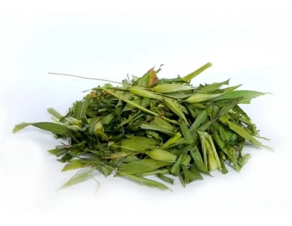 Закупаемо сушені лікарські трави дрібним оптом- фото № 6