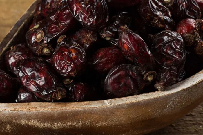 Куплю сухие плоды бузины.рябины красной. шиповника. боярышника.Оплата договорная- фото № 1