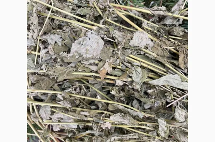 Гравілат- фото № 1