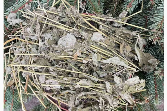 Гравілат- фото № 3