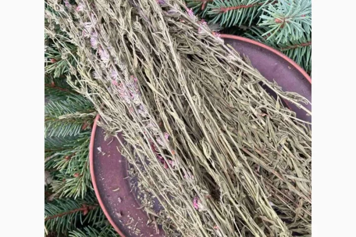 Гісоп сушений- фото № 1