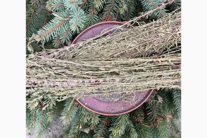 Гісоп сушений- фото № 2