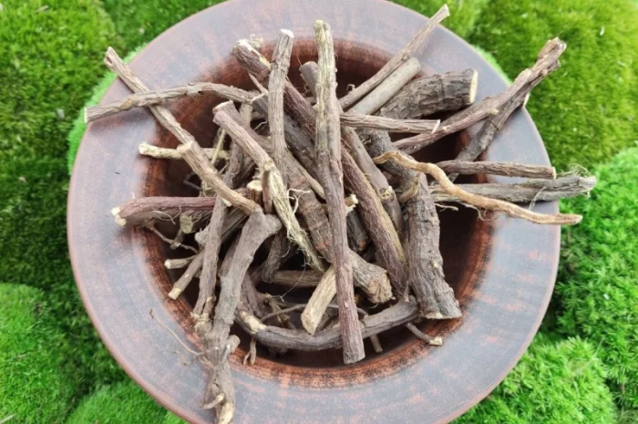 Солодка корінь- фото № 2