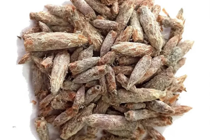 Куплю соснову та березову бруньки- фото № 2