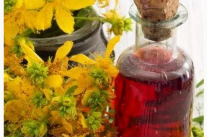 Звіробійна олія- фото № 1