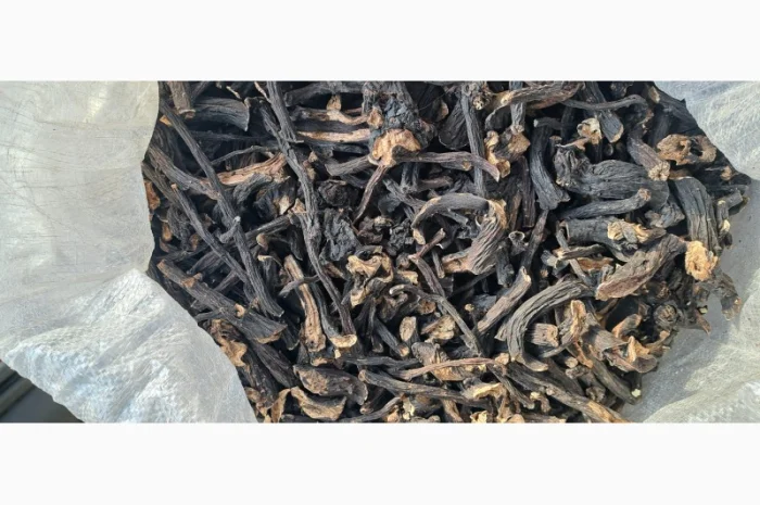 Куплю корінь живокосту- фото № 1