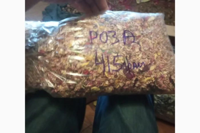 Лікарскі Рослини- фото № 1